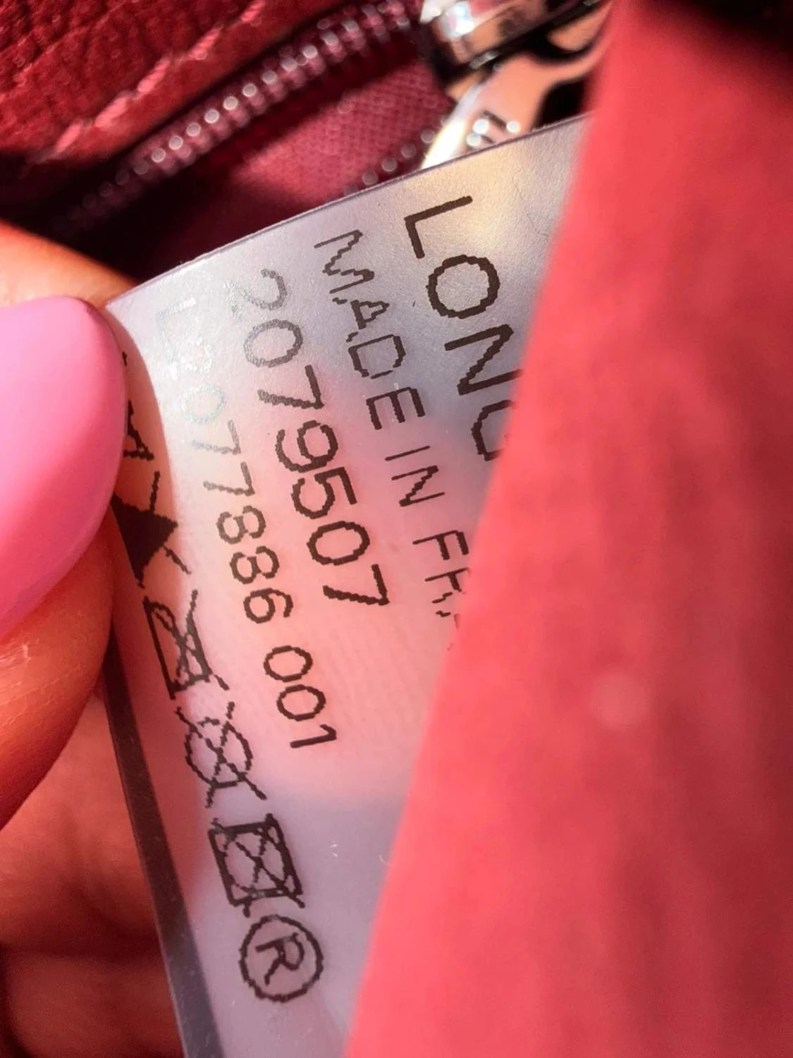 Bolsa Longchamp, coleção roseaux nova nunca usada – photo 15